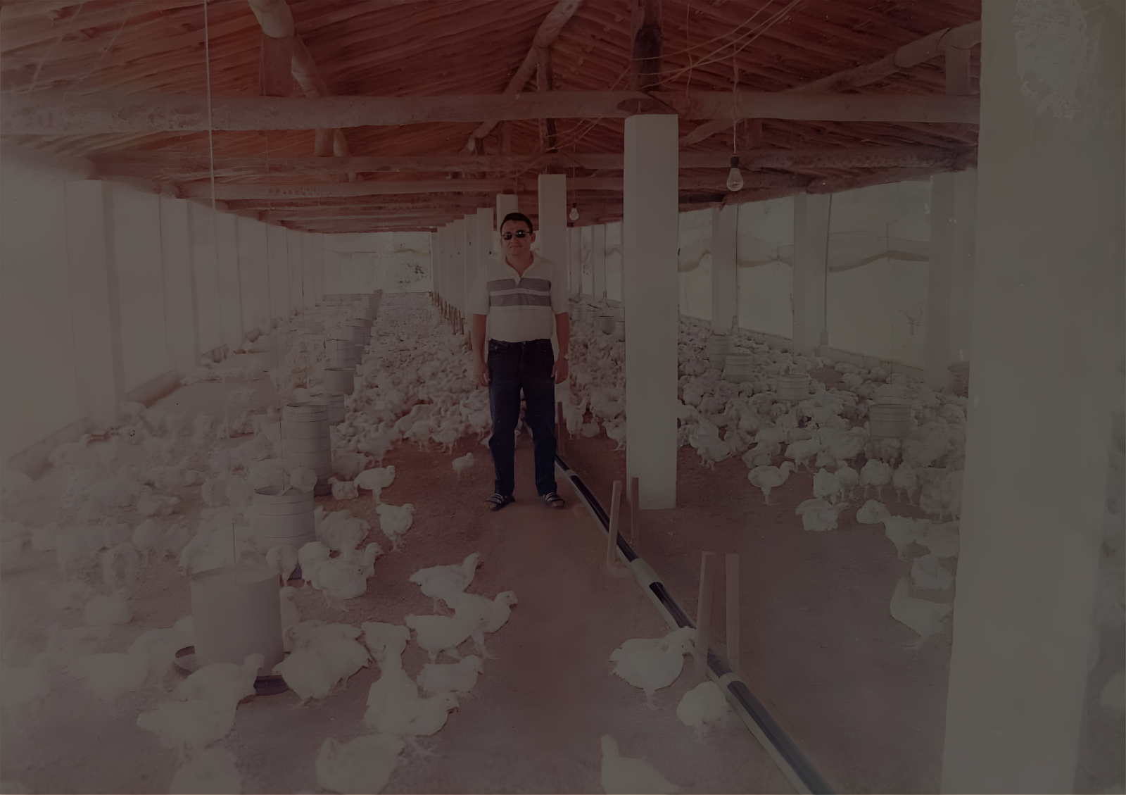 Carlos José Marreiros Moreira